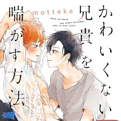 かわいくない兄貴を喘がす方法