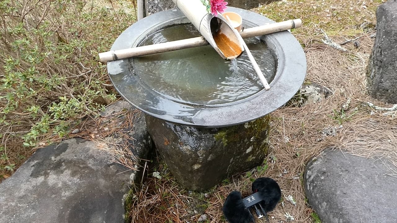 宮村さんはいつも眠たげ【R-15ごりごり耳舐めASMR・ささやき/CV:涼花みなせさん】 サンプル画像 5