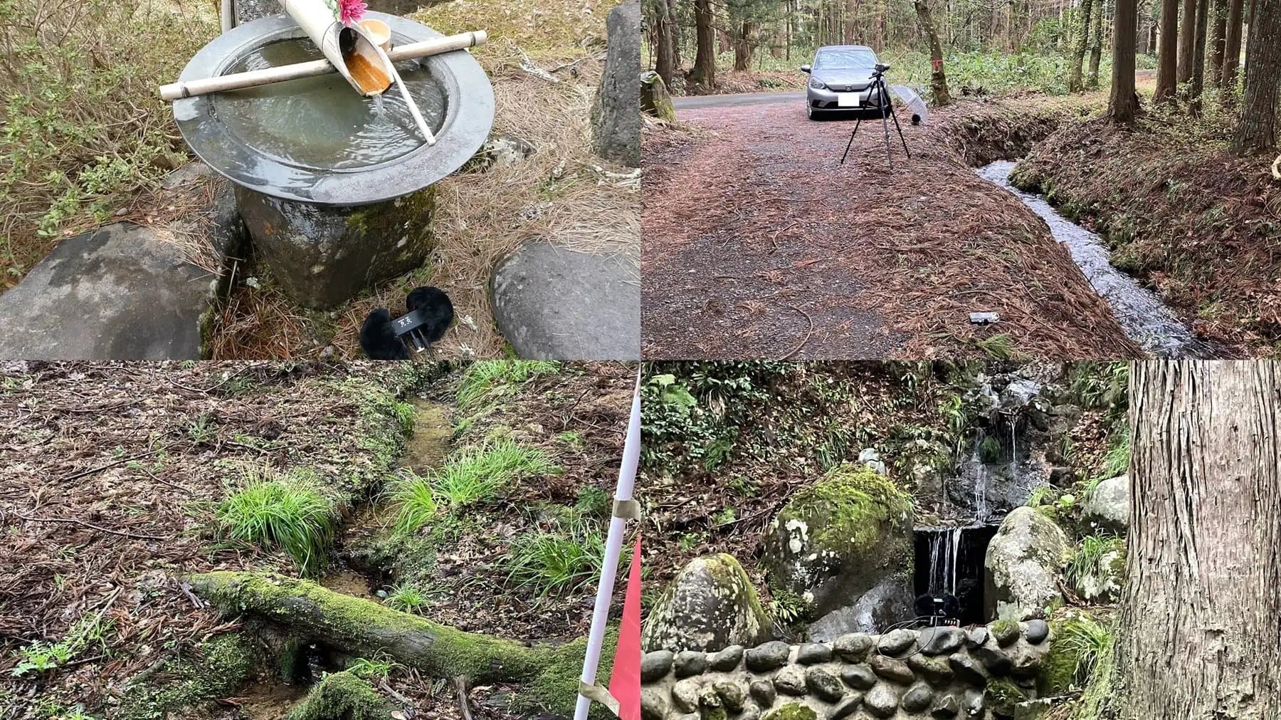 宮村さんはいつも眠たげ【R-15ごりごり耳舐めASMR・ささやき/CV:涼花みなせさん】 サンプル画像 6