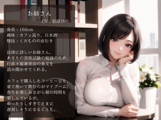 お姉さんに教えてもらう行政法 二、行政不服審査法 サンプル画像 1