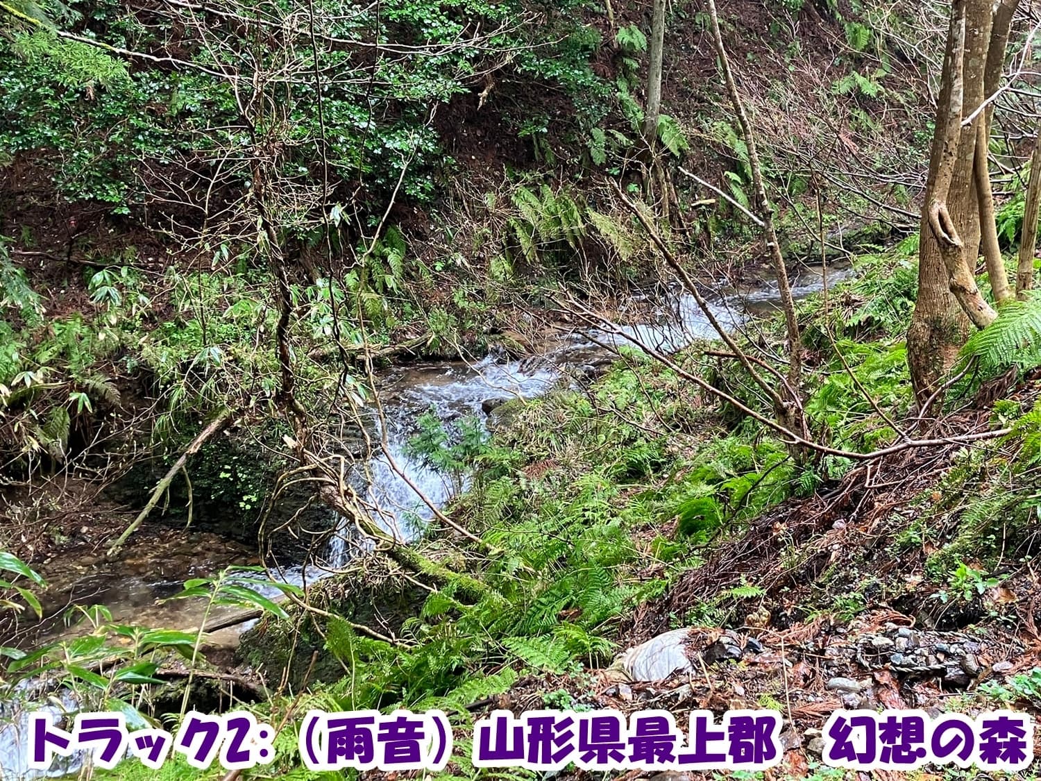 終末世界と放浪少女3【ぐっすり眠れる耳舐め・ささやきボイス】 サンプル画像 4