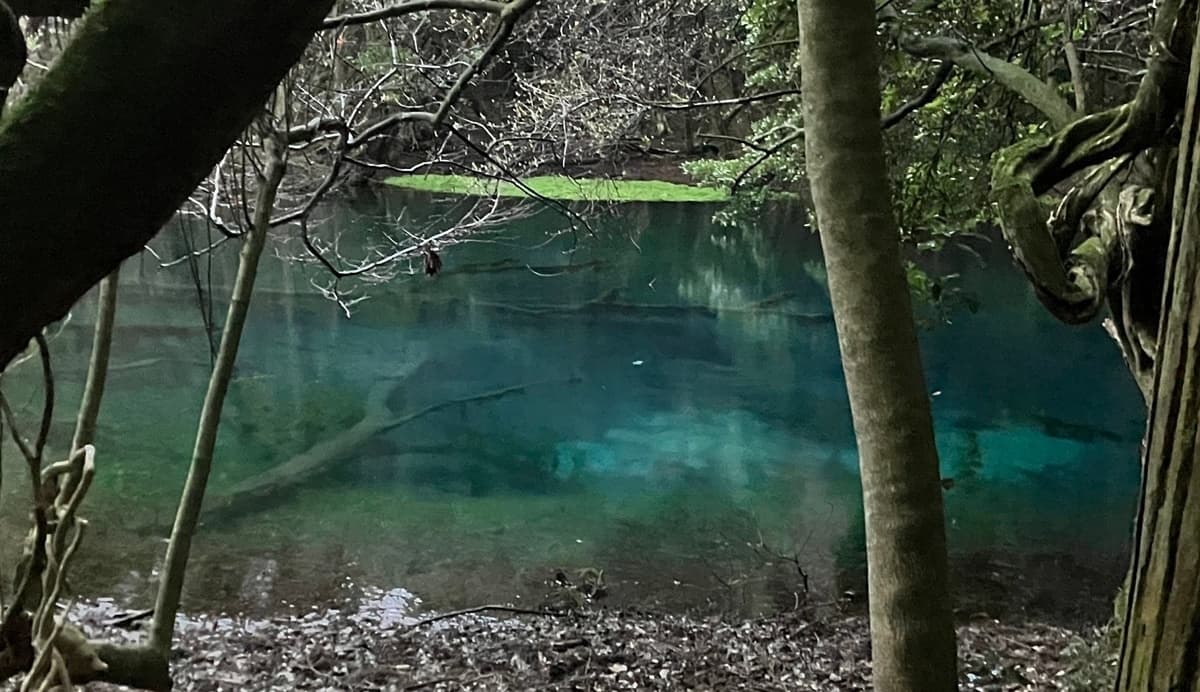 耳舐め&耳ふーサンドイッチ 田舎の癒し ～山形県遊佐町音源～ 【耳恋なかさん&そよかぜみらいさん/安眠特化/環境音現地収録】 サンプル画像 4
