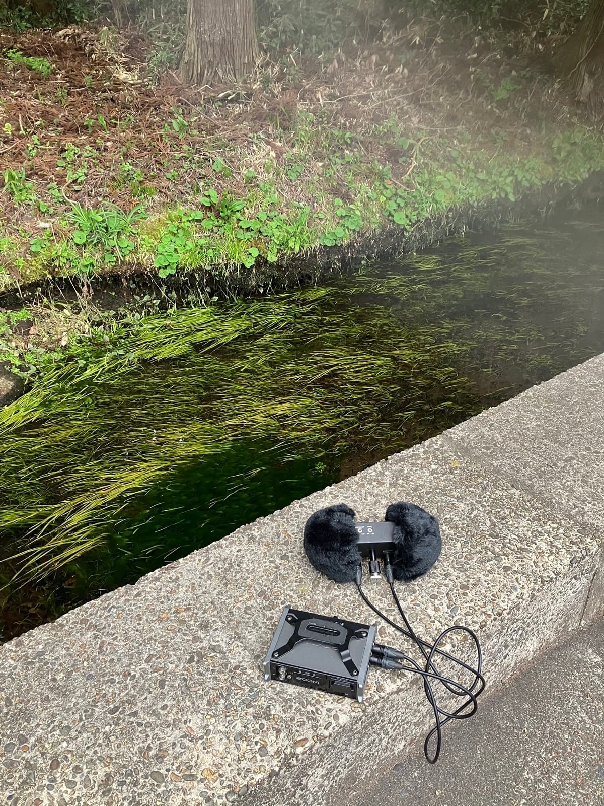 耳舐め&耳ふーサンドイッチ 田舎の癒し ～山形県遊佐町音源～ 【耳恋なかさん&そよかぜみらいさん/安眠特化/環境音現地収録】 サンプル画像 6