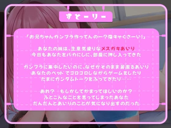 かまってちゃんなメ○ガキとガ○プラ制作 サンプル画像 2