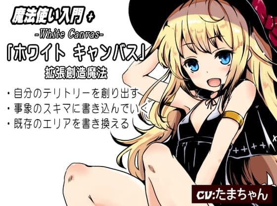 魔法使い入門+ 「ホワイト キャンバス」  拡張創造魔法  ・自分のテリトリーを創り出す  ・事象のスキマに書き込んでいく ・既存のエリアを書き換える