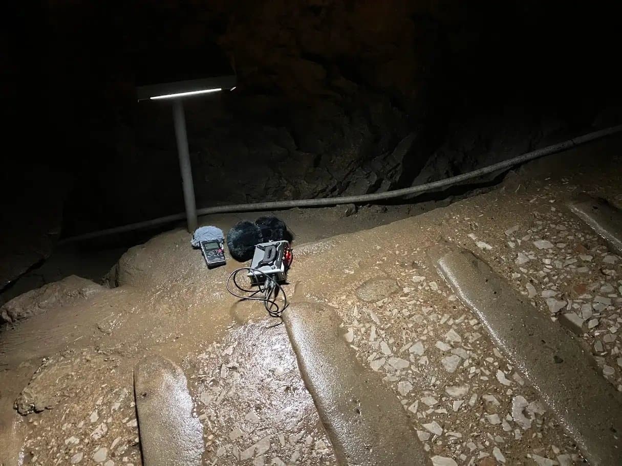 洞窟は真っ暗だし 私の愛(こえ)が響いて落ちつきますよね(威圧)【安眠用 R-15癒し音声/本編 3時間30分/ぐっぽり両耳耐久耳舐め特典付き 60分×2本】 サンプル画像 5