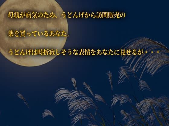 ヤンデレの鈴仙・優曇華院・イナバに求愛されて拒絶できない サンプル画像 1