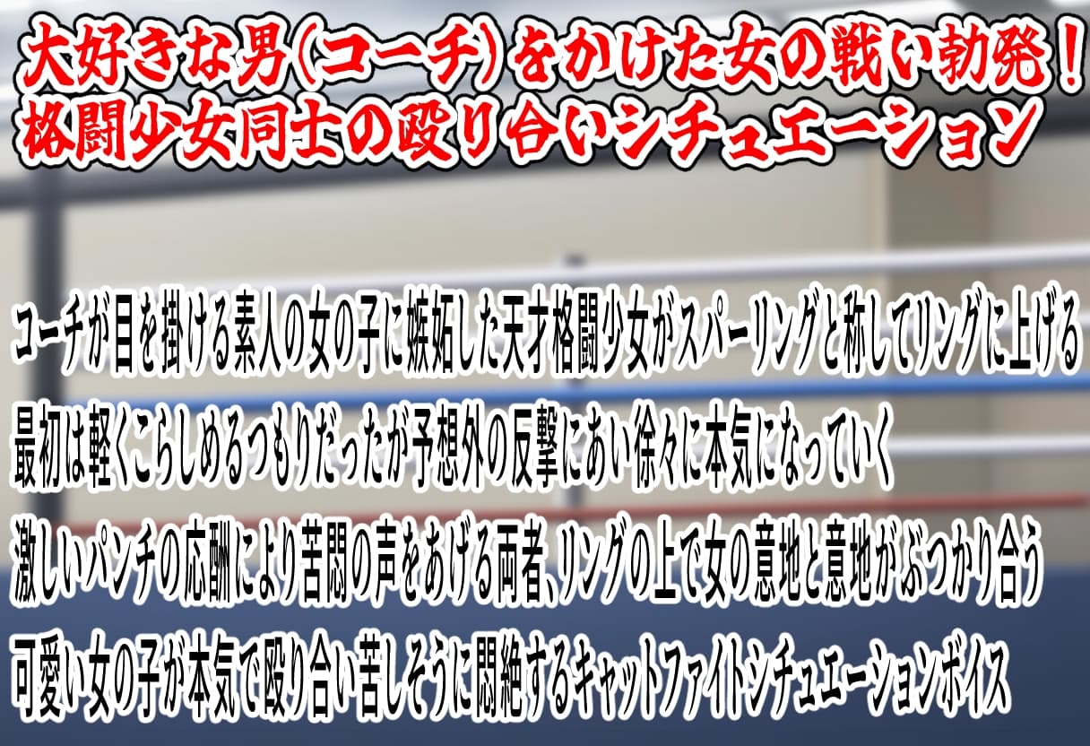 (女の子殴り合い特化ボイス)キャットファイト サンプル画像 1