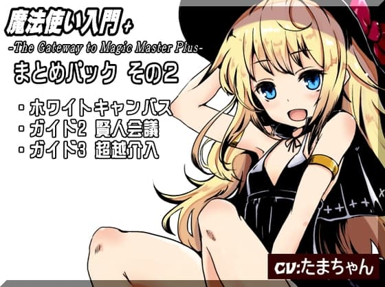 魔法使い入門+ まとめパック2「ホワイトキャンバス」「ガイド2 賢人会議」「ガイド3 超越介入」