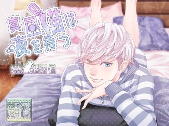 【添い寝】シチュエーションボイス「真昼の猫は夜を待つ」