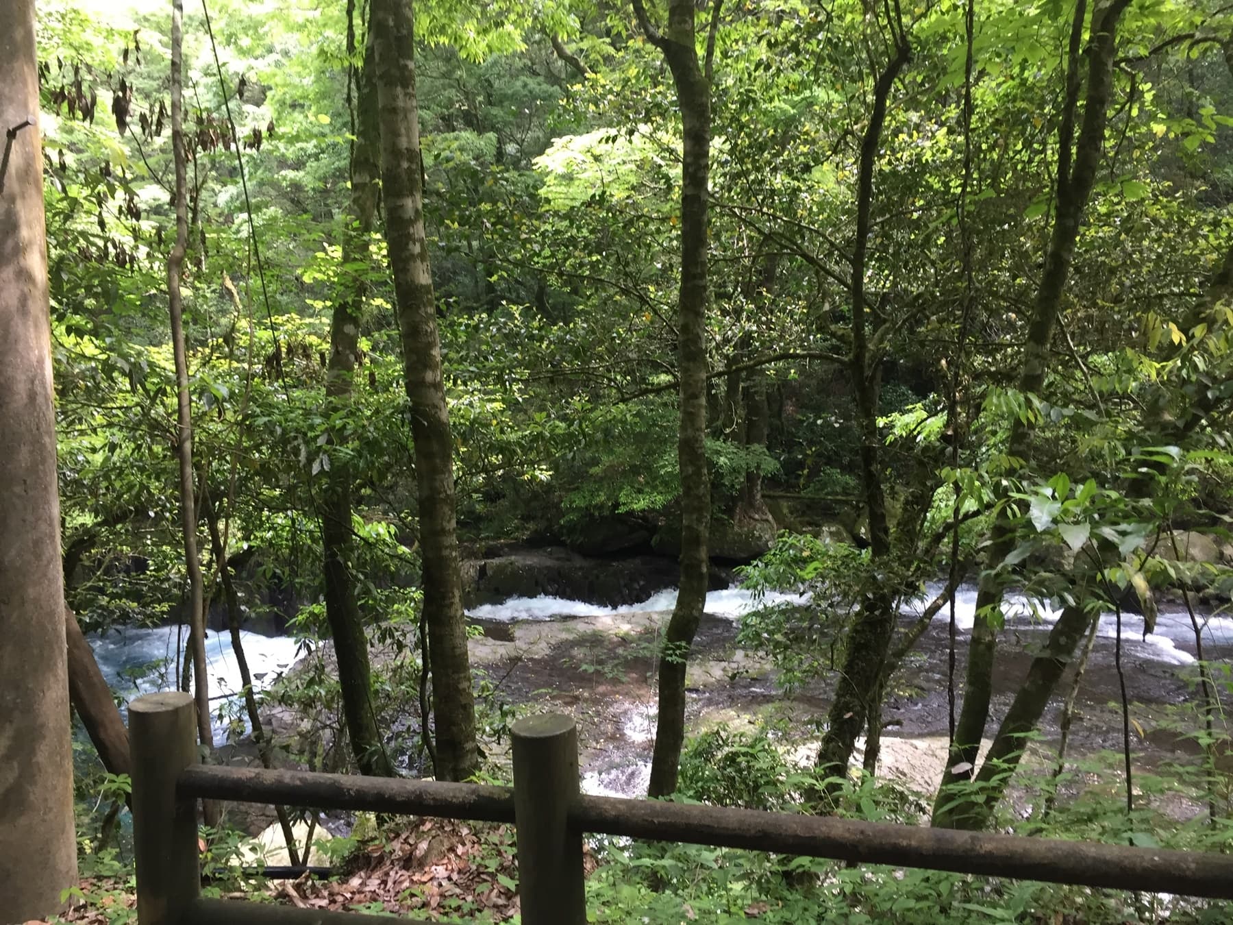 菊池川の少女と待ち人【約6時間 / 水音安眠ASMR / フィールドレコーディング / 浅見ゆい様】 サンプル画像 6