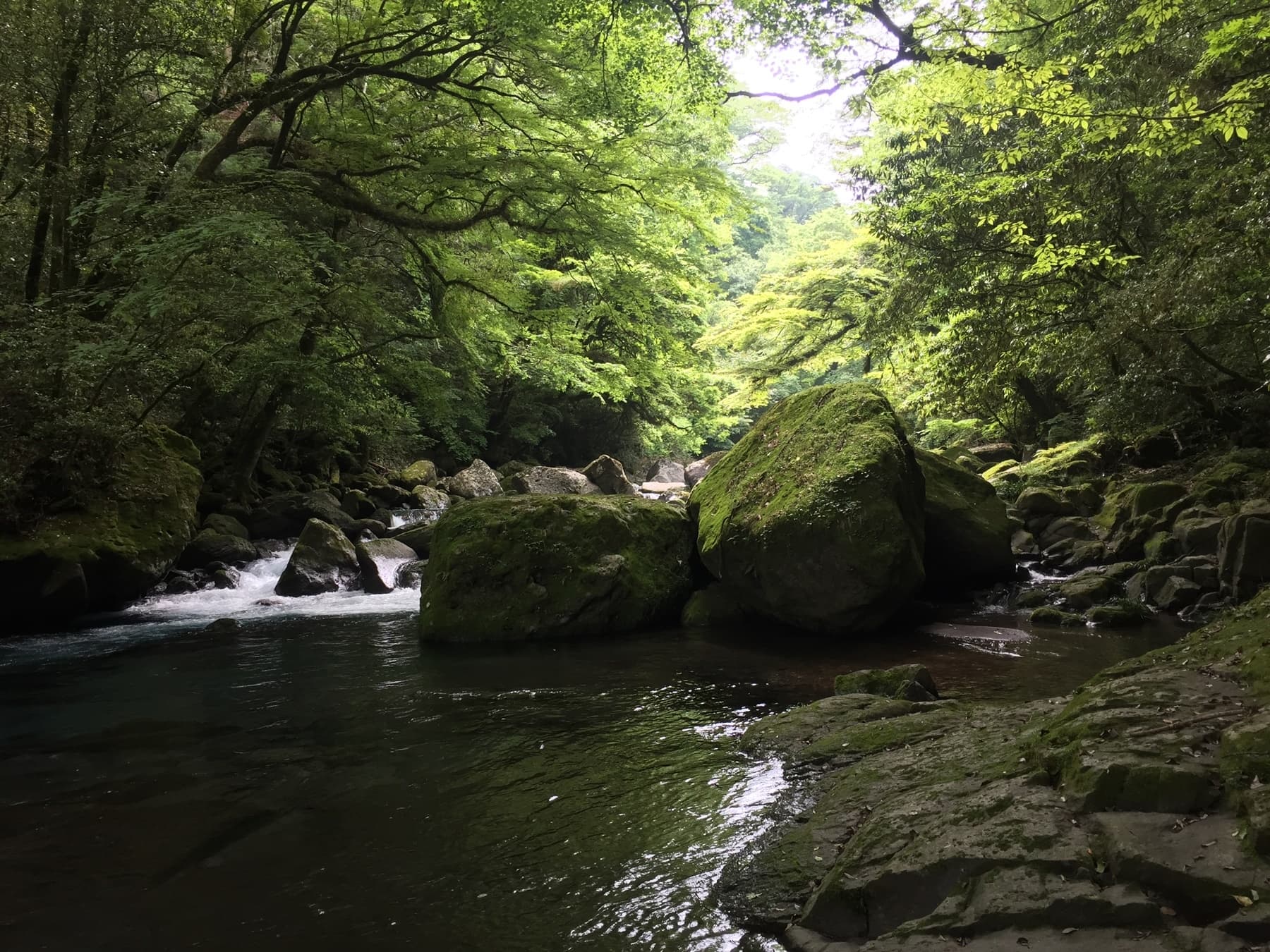 菊池川の少女と待ち人【約6時間 / 水音安眠ASMR / フィールドレコーディング / 浅見ゆい様】 サンプル画像 7