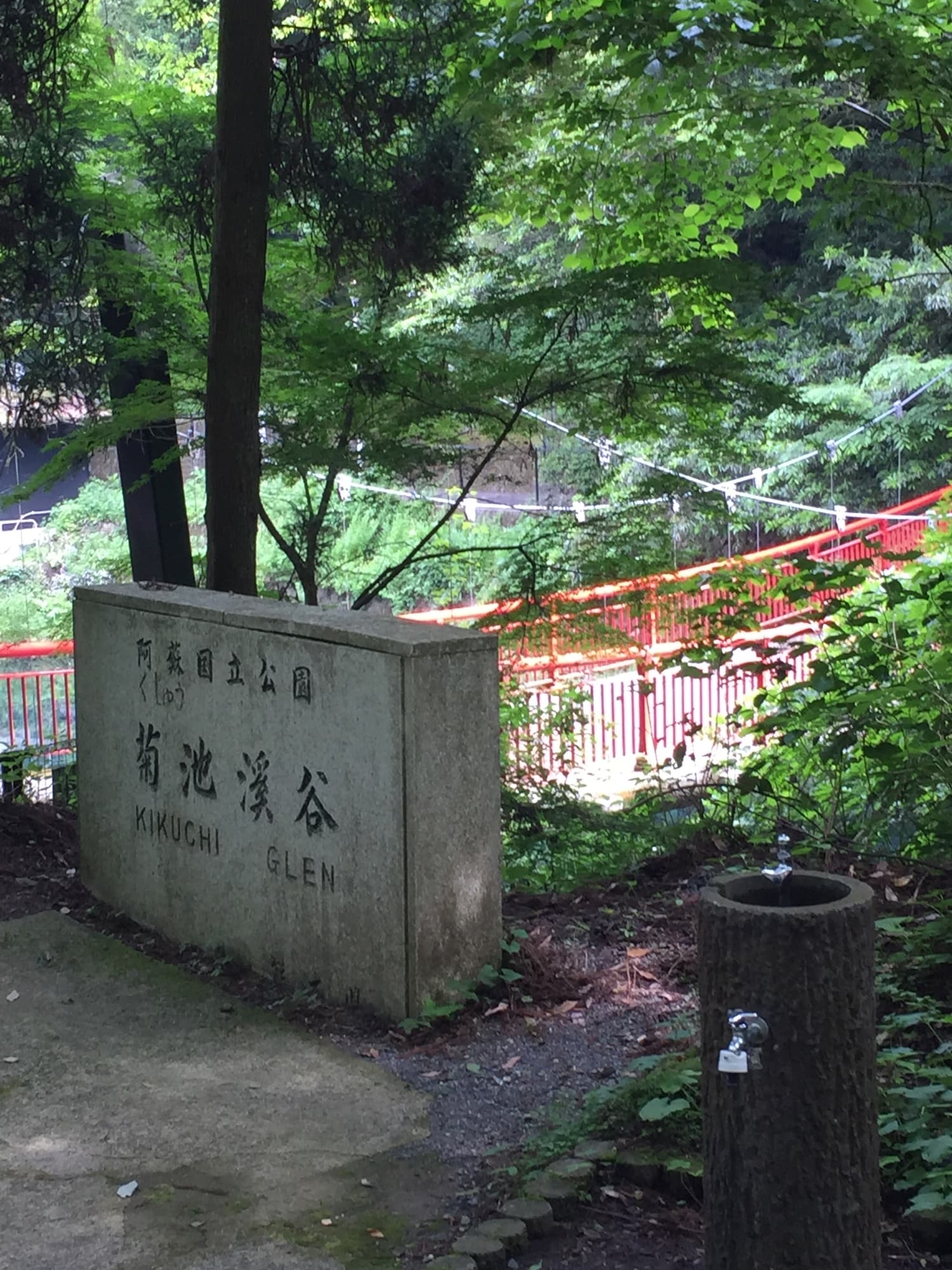 菊池川の少女と待ち人【約6時間 / 水音安眠ASMR / フィールドレコーディング / 浅見ゆい様】 サンプル画像 8