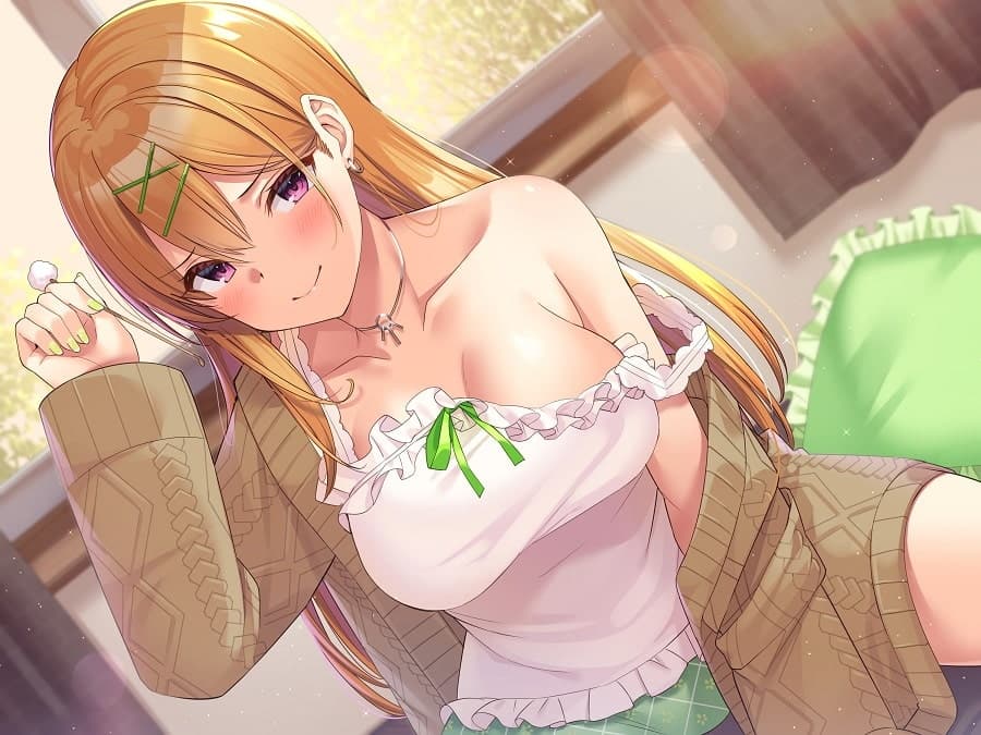 『SisterDays――お姉ちゃんは弟を構って癒やして甘やかしたい――』【プレミアムフォーリー】 サンプル画像 1