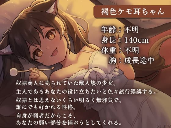 パーティのけも耳娘に癒されて… サンプル画像 1