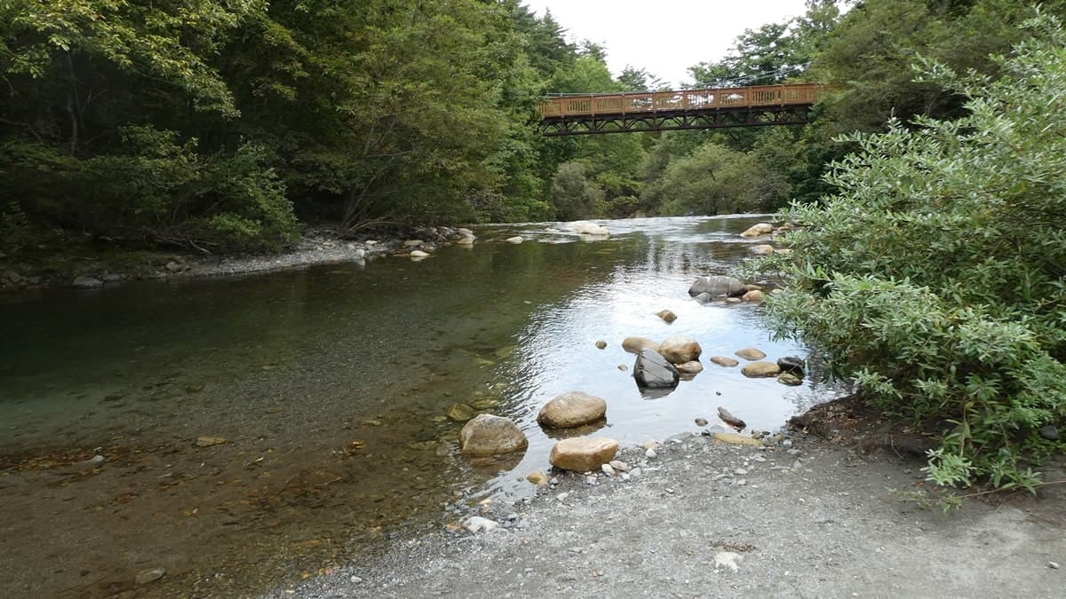 耳舐め&耳ふ～サンドイッチ ダウナー妹と低音姉【R-15癒し/CV:箱河ノアさま・耳恋なかさま】 サンプル画像 4