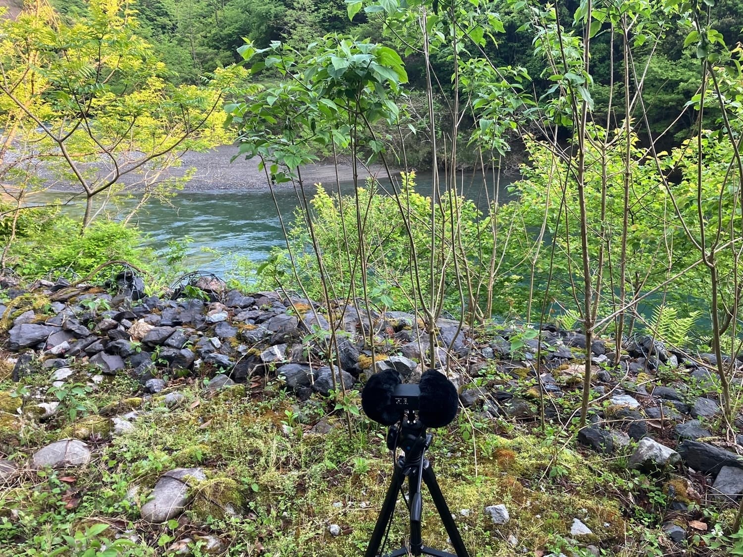 耳かき&耳舐めで何もかも忘れさせてくれる彼女 【CV:みやぢさん】 サンプル画像 4